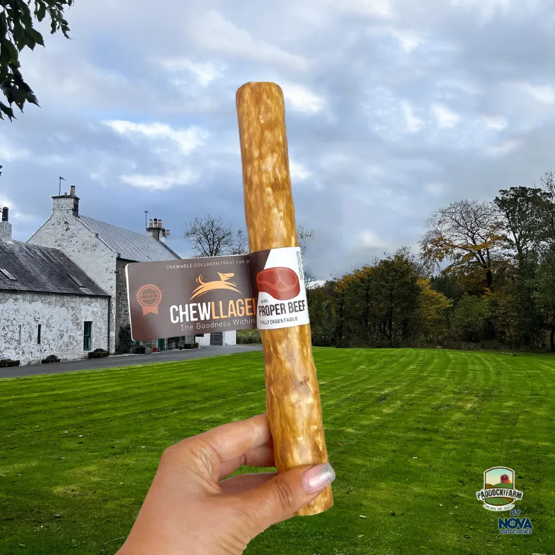 Chewllagen Beef Roll