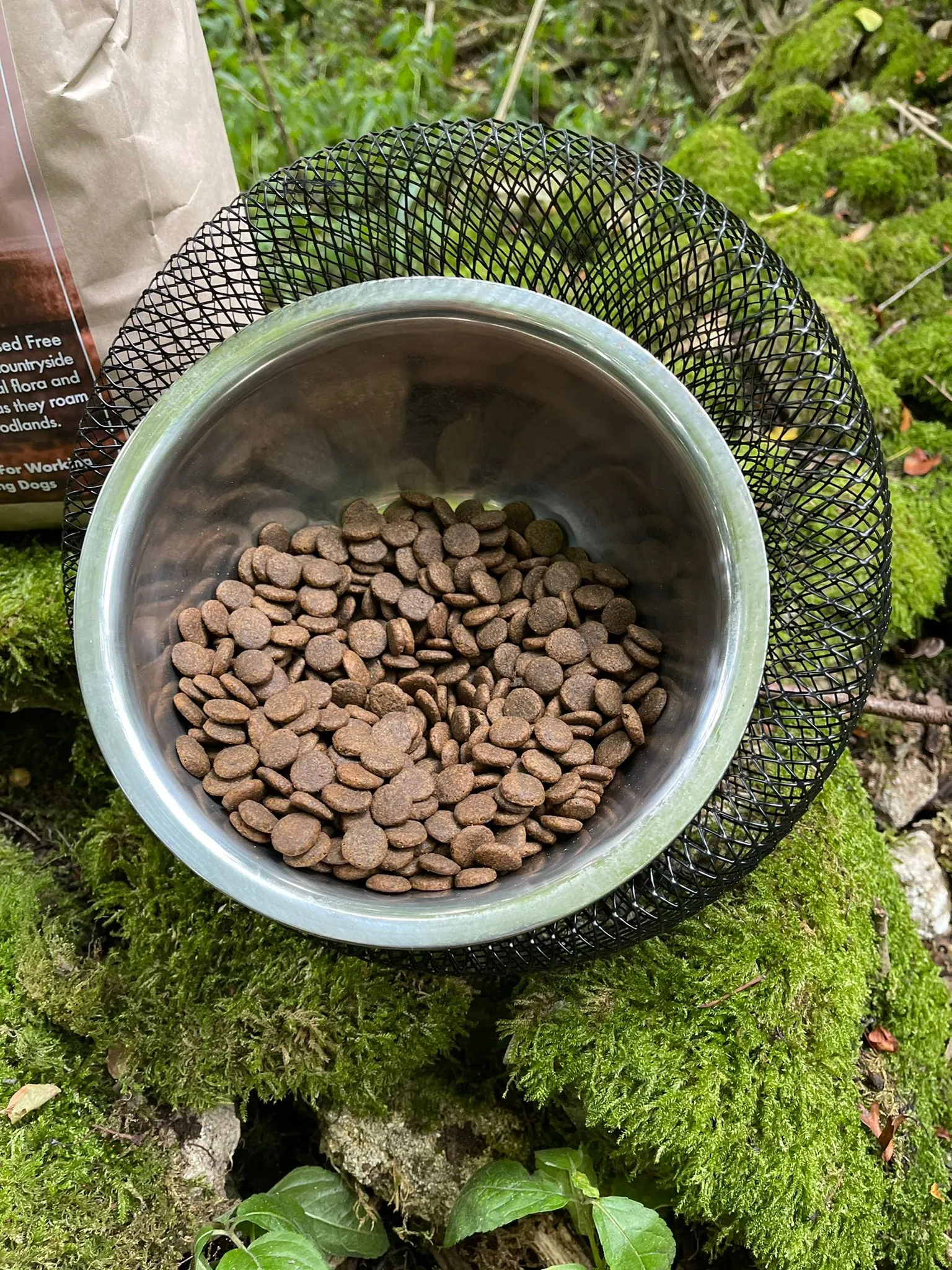 Complete Dog Food 4kg