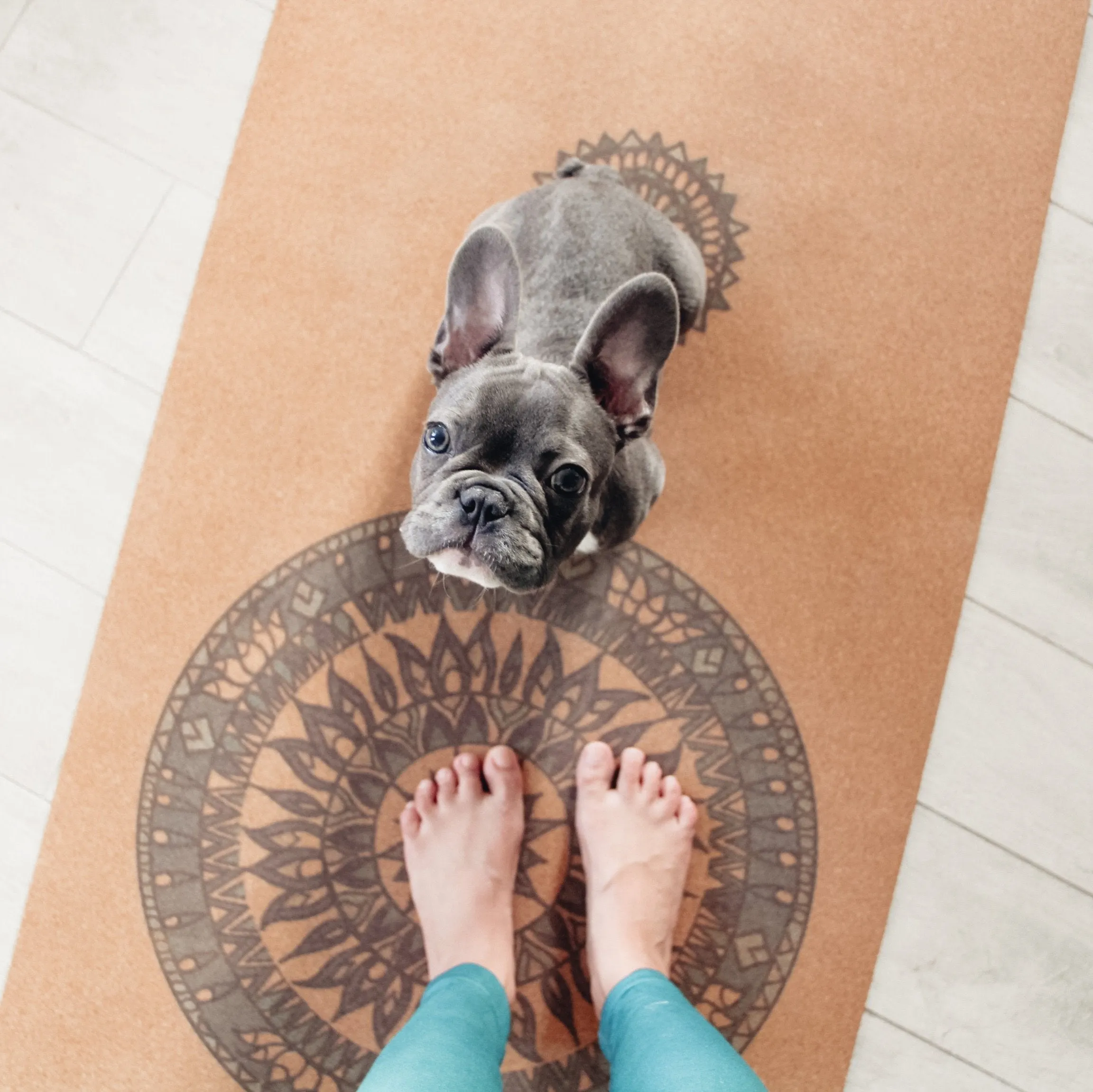 Cork Yoga mat - MANDALA PRO EXTRA LONG & WIDE