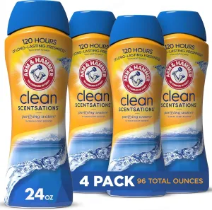 In-Wash Scent Booster, Purifying Waters, 24 Oz, Pack of 4