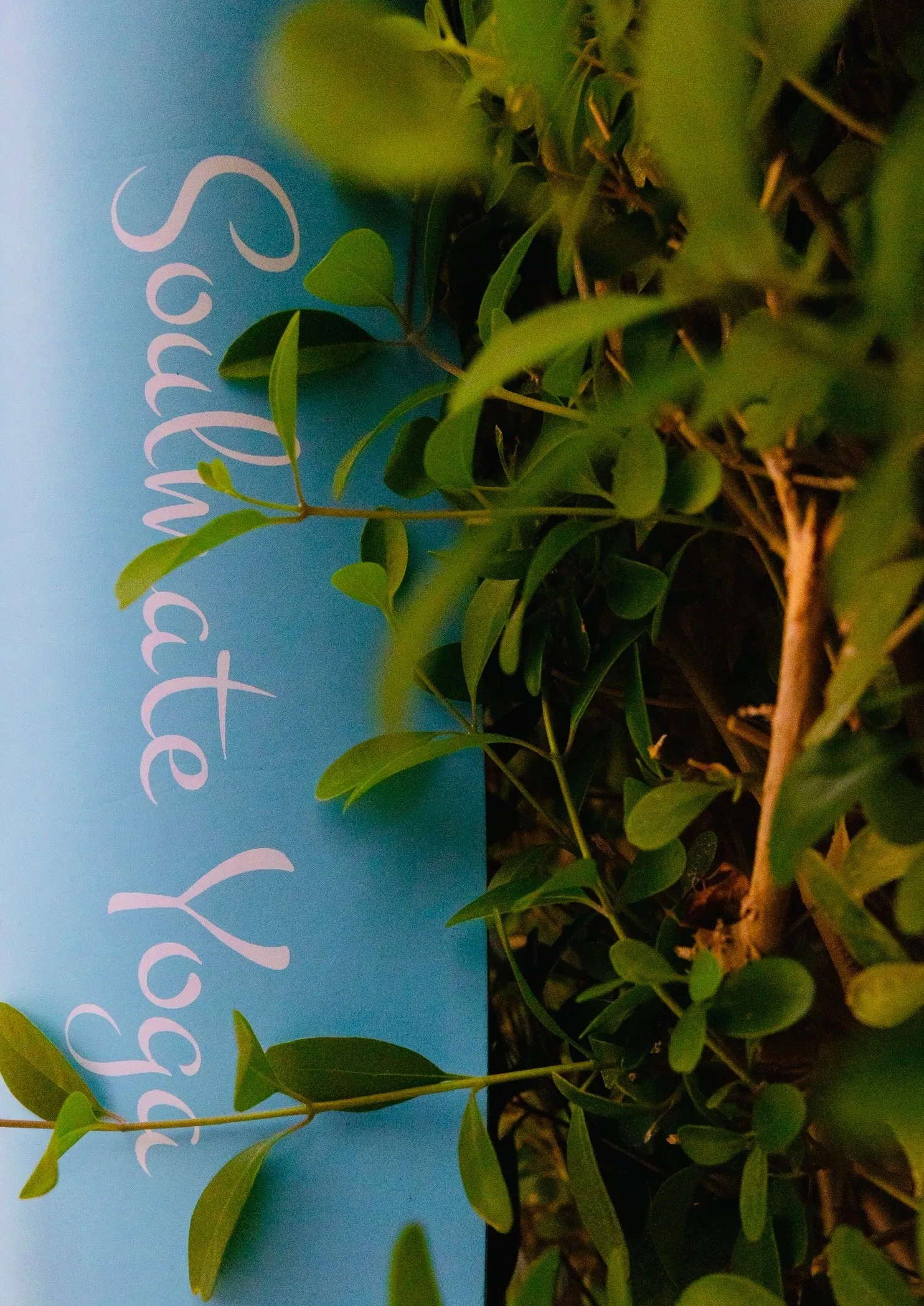 Non Slip Eco Friendly Soulmate Yoga Mat Blue