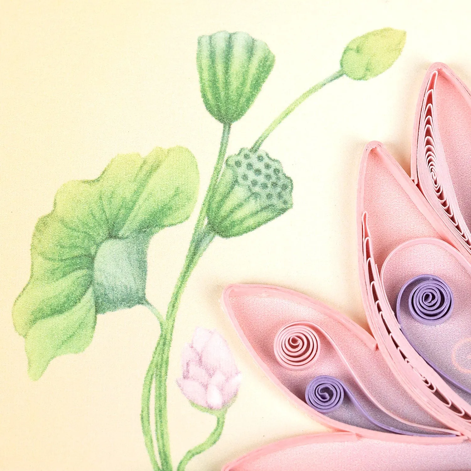 Quilled Special Edition Lotus Flower Greeting Card