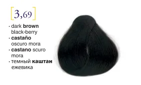 Salerm© Salermvison Professsional 3,69 Dark Brown Blackberry 2.3oz