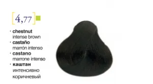 Salerm© Salermvison Professsional 4,77 Chestnut Intense Brown 2.3oz