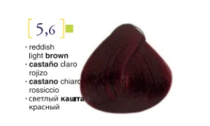 Salerm© Salermvison Professsional 5,6 Reddish Light Brown 2.3oz