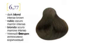 Salerm© Salermvison Professsional 6,77 Dark Blond Intense Brown 2.3oz