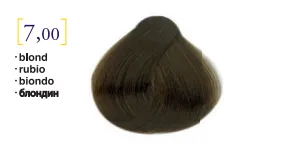 Salerm© Salermvison Professsional 7,00 Blond Maximum Coverage 2.3oz