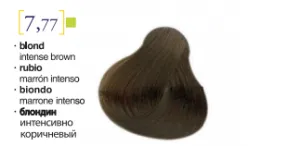 Salerm© Salermvison Professsional 7,77 Blond Intense Brown 2.3oz